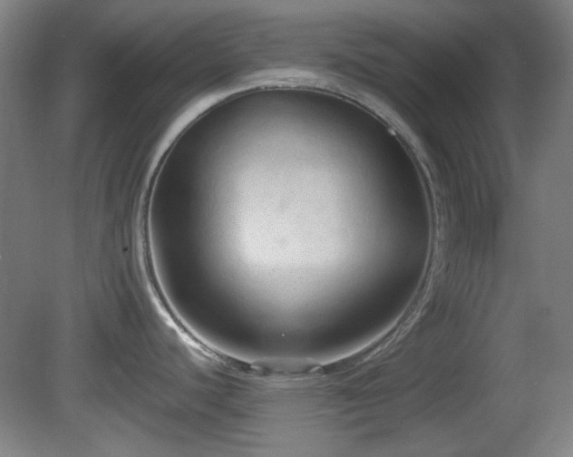 X0000080661440200612221039