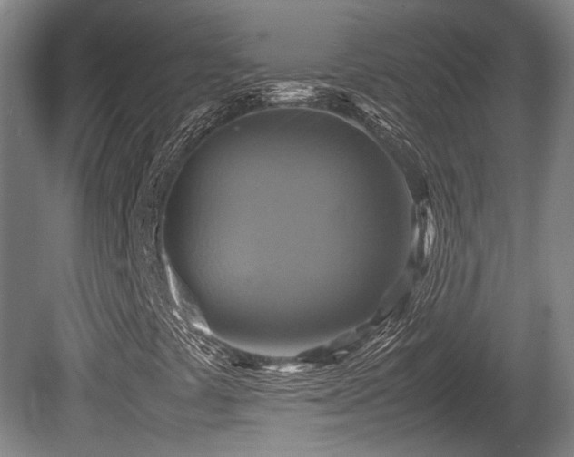 X0000080661441200612221039