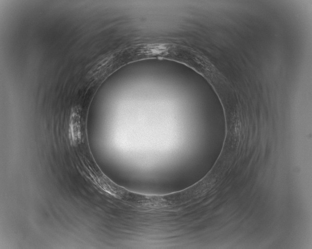 X0000080661442200612221039