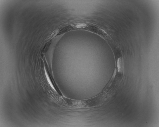 X0000080661443200612221039