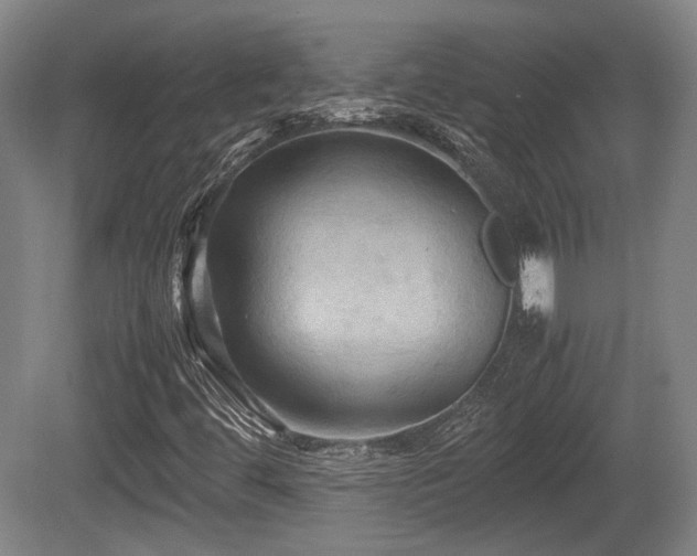 X0000080661444200612221039
