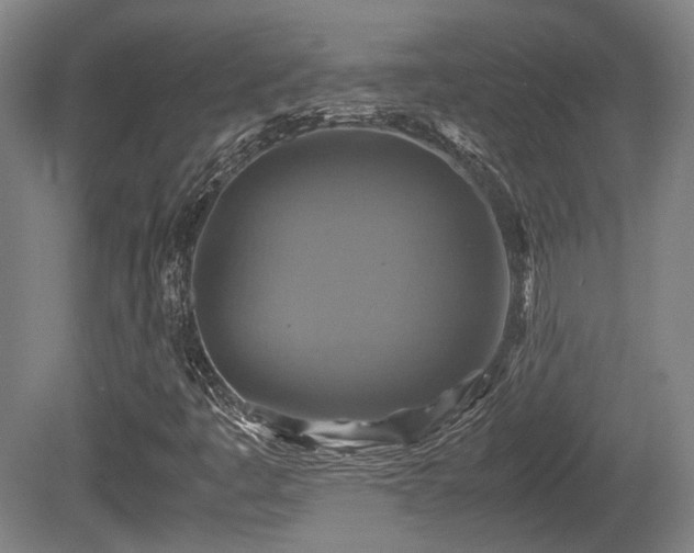 X0000080661445200612221039