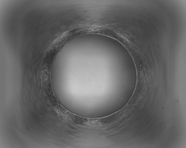 X0000080661447200612221039