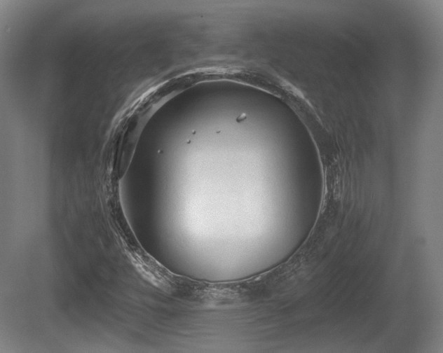 X0000080661448200612221039