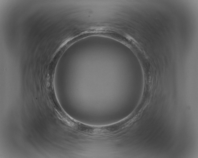 X0000080661449200612221039
