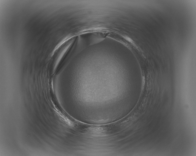 X0000080661450200612221039