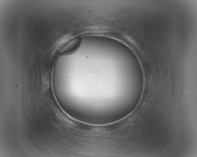 X0000080661451200612221038