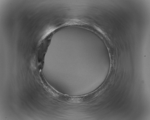 X0000080661453200612221038