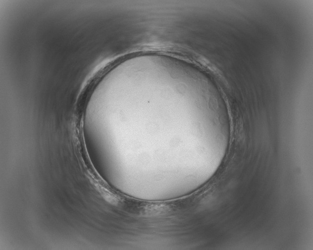 X0000080661454200612221038