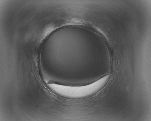 X0000080661455200612221038