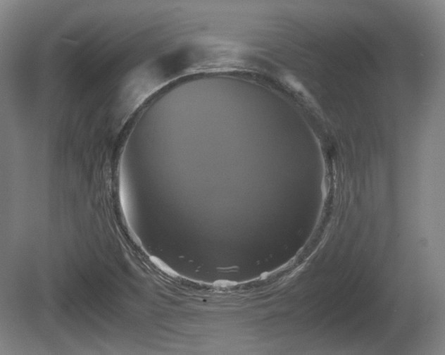 X0000080661457200612221038