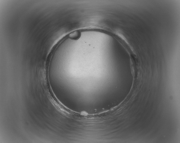 X0000080661460200612221038