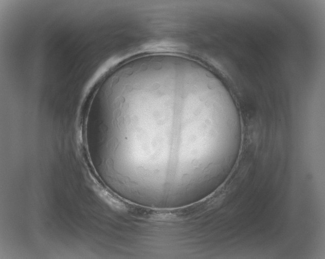 X0000080661462200612221038