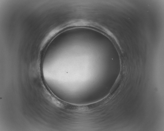X0000080661464200612221038