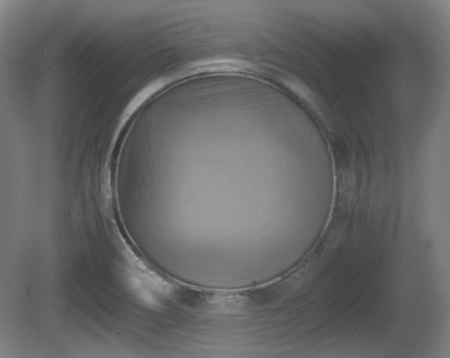 X0000080661466200612221038