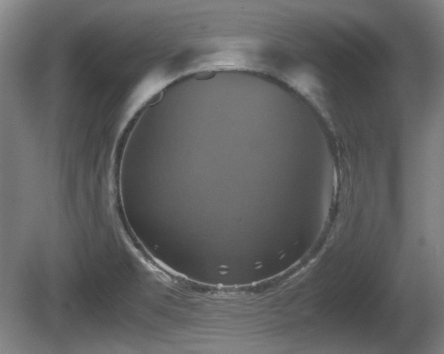 X0000080661469200612221038