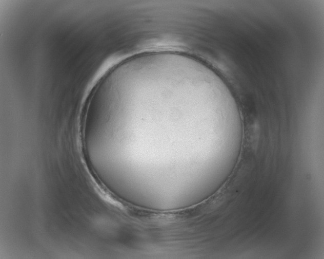 X0000080661470200612221038