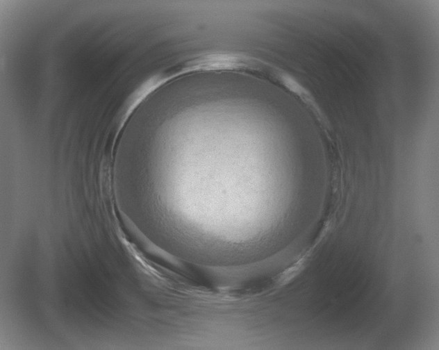 X0000080661473200612221038