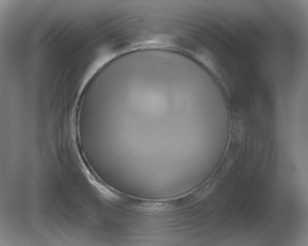 X0000080661474200612221038