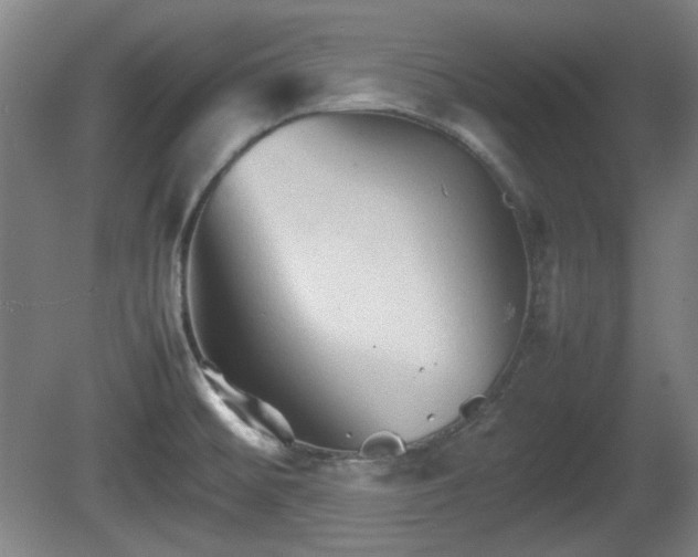 X0000080661476200612221038