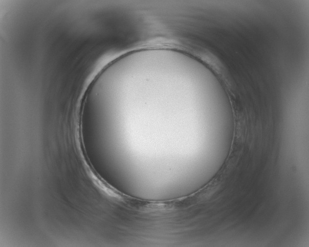 X0000080661478200612221038