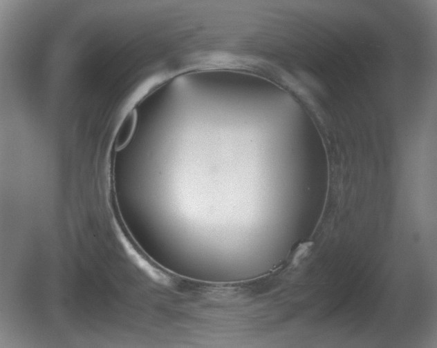 X0000080661479200612221038