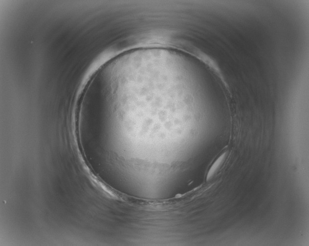 X0000080661480200612221038