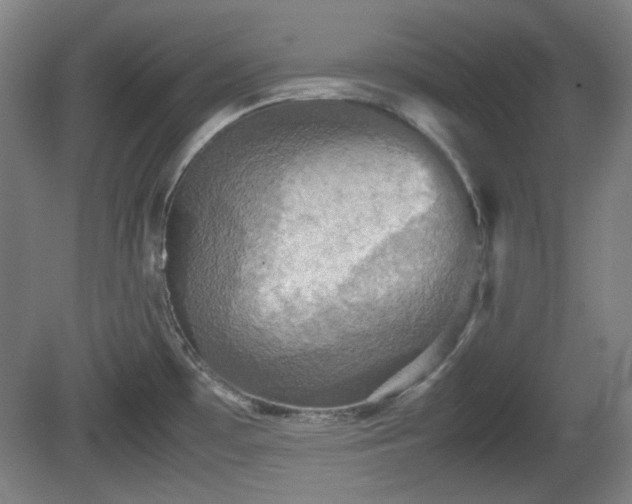 X0000080661481200612221038