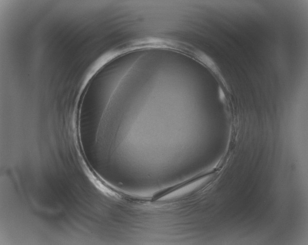 X0000080661482200612221038