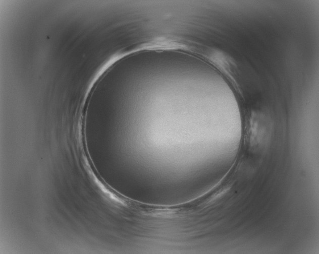 X0000080661484200612221038