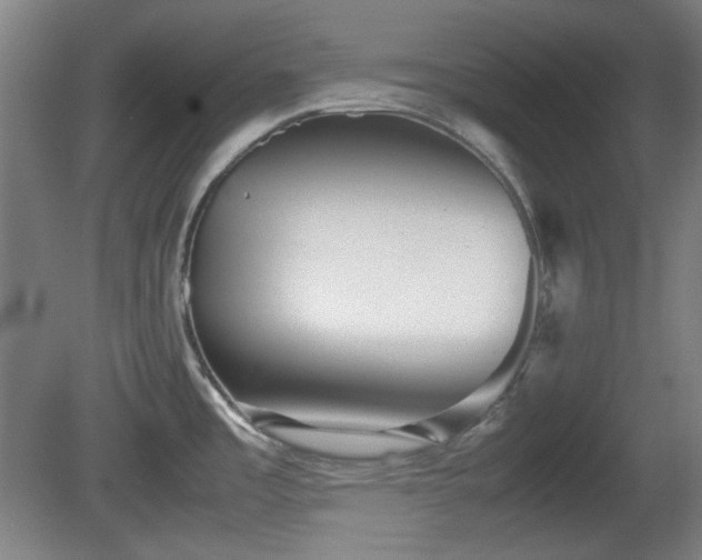 X0000080661485200612221038