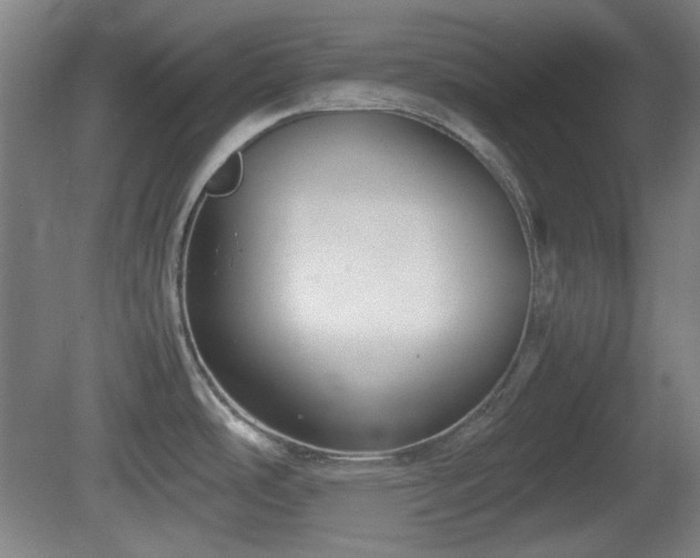 X0000080661486200612221038