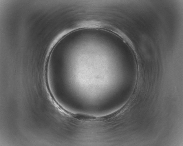 X0000080661488200612221038
