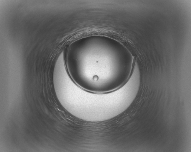 X0000080661492200612221037