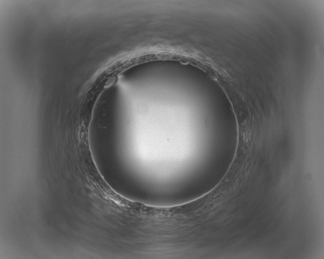 X0000080661495200612221037