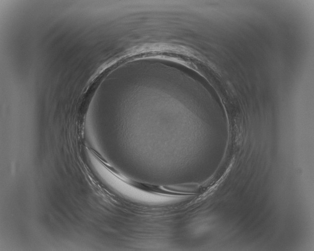 X0000080661497200612221037