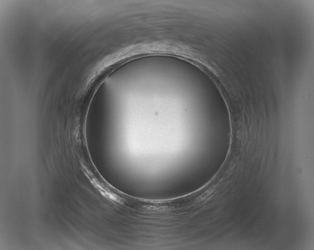 X0000080661499200612221037