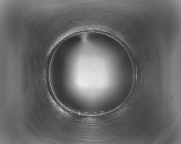 X0000080661500200612221037