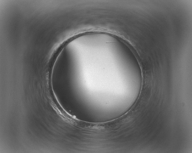 X0000080661503200612221037