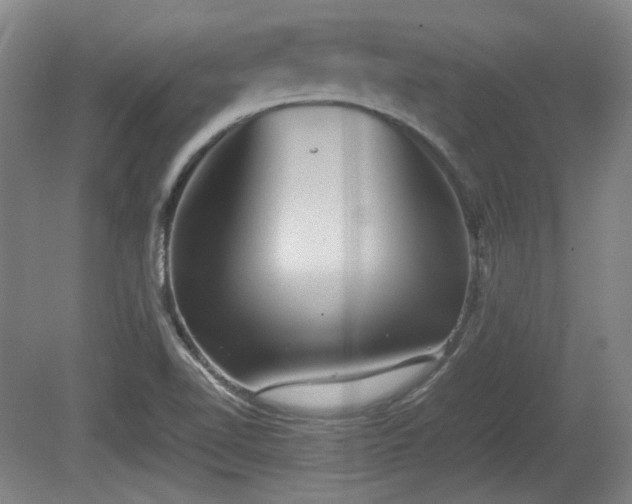 X0000080661510200612221037