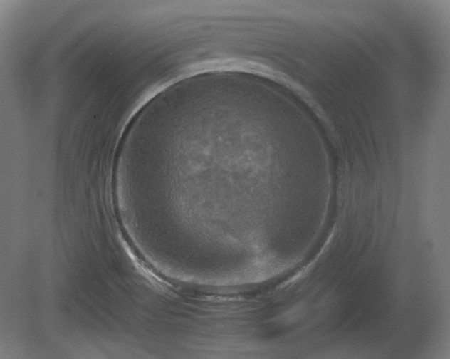 X0000080661513200612221037