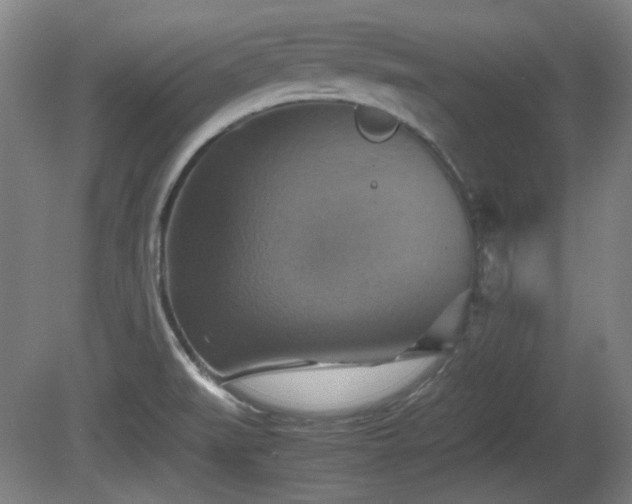 X0000080661519200612221038