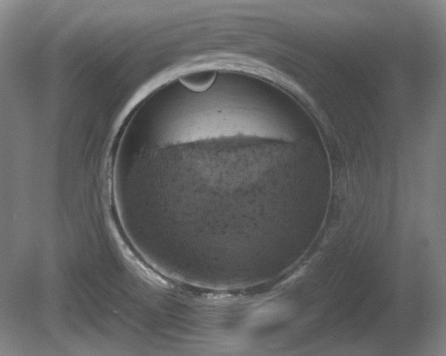 X0000080661522200612221038