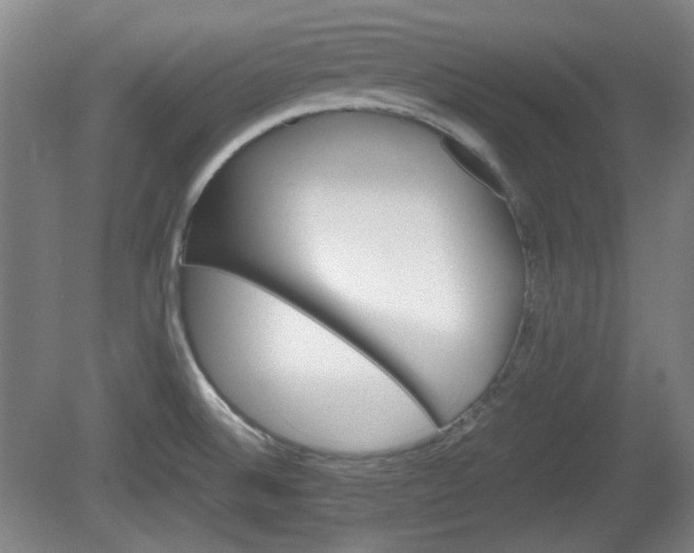 X0000080661524200612221038