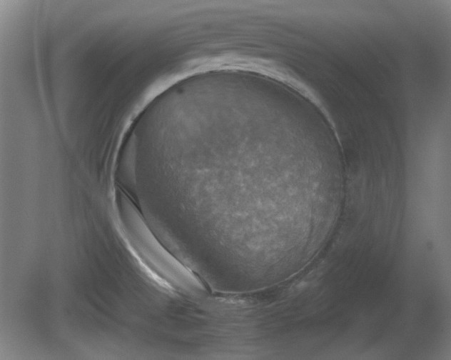 X0000080661525200612221038