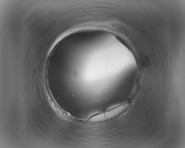 X0000080661530200612221038