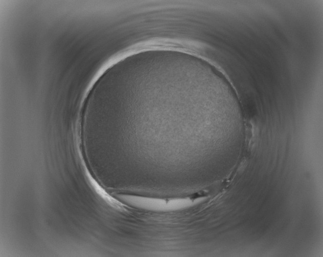 X0000080661531200612221038