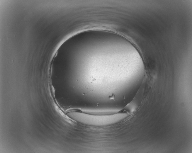 X0000080661532200612221038