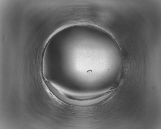 X0000080661534200612221038