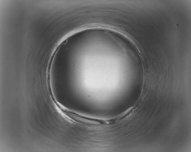 X0000080661535200612221038